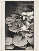 KT 2001 003-01
          <br/>
          Waterlelies
          <br/>
          <em>Eeden, Marcel van (1965)</em>